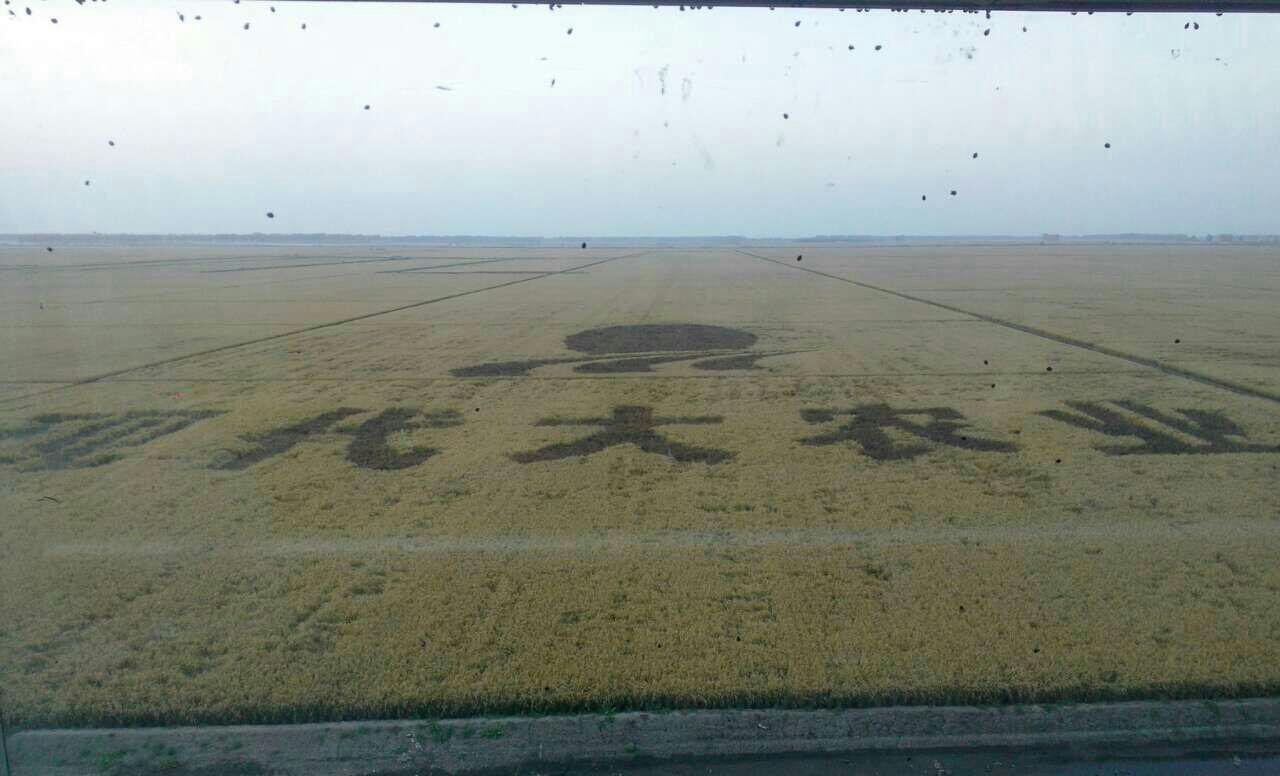 图片19.jpg